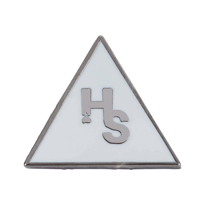 Higher Standards Triangle Pin