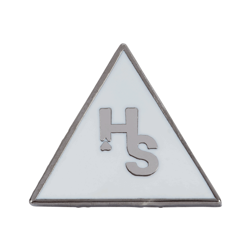 Higher Standards Triangle Pin