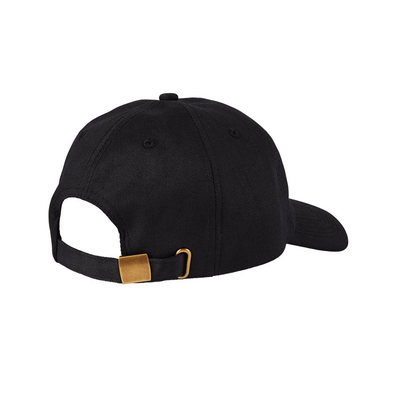 Higher Standards Dad Hat