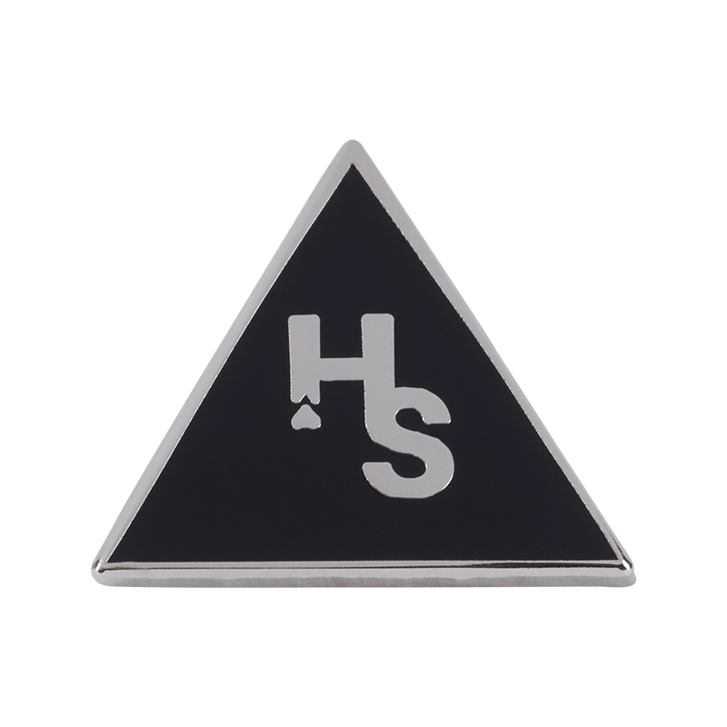 Higher Standards Triangle Pin